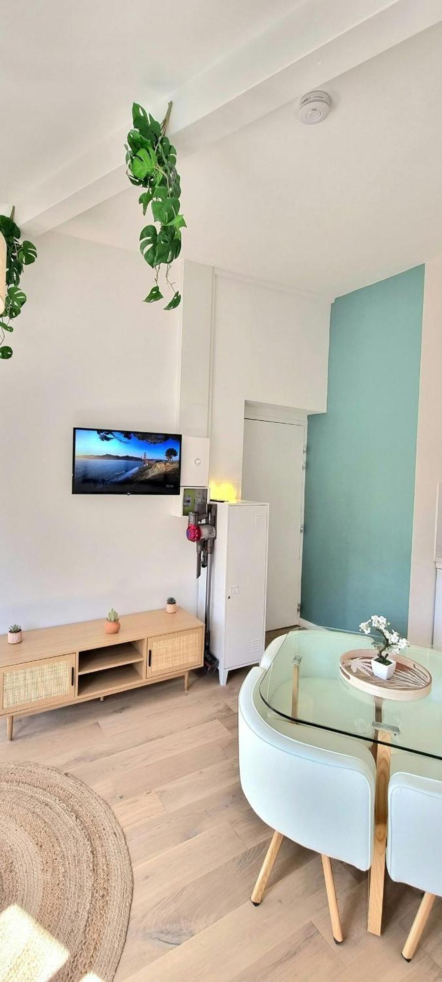 Apartment Arizona Dream - T1 Bis Climatise 4p Wifi Toulouse